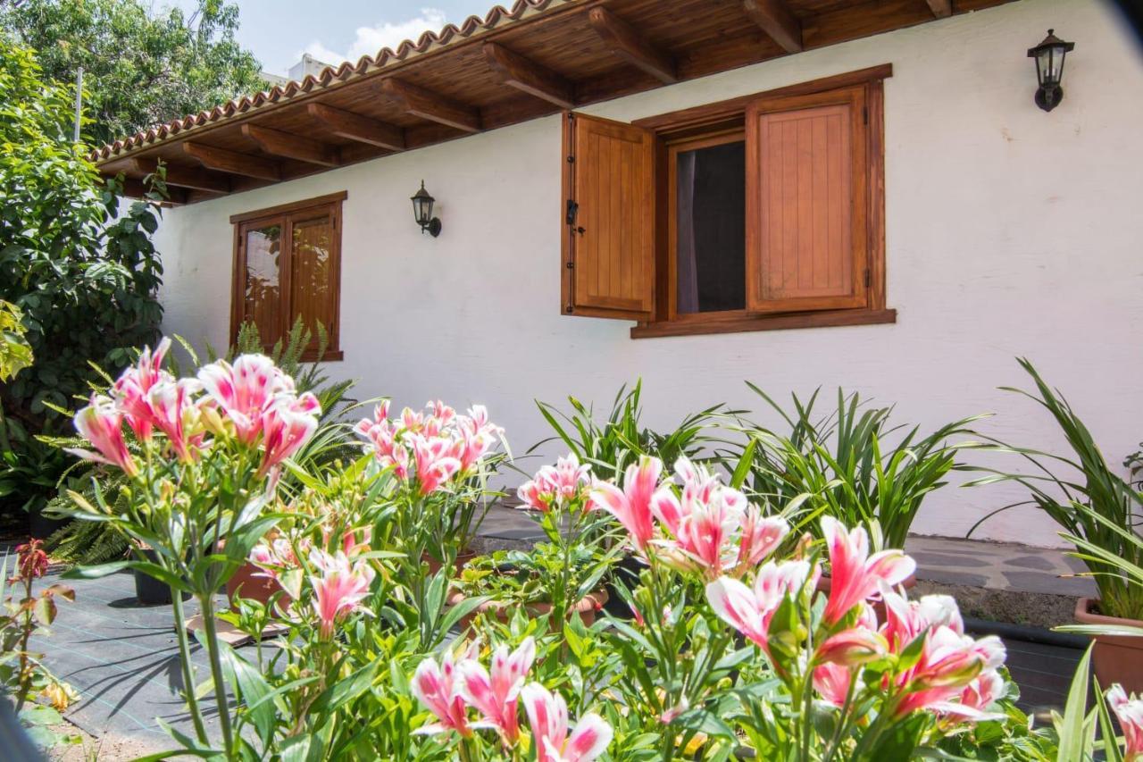 Cozy House Casa Vero Mai イコー・デ・ロス・ビノス エクステリア 写真